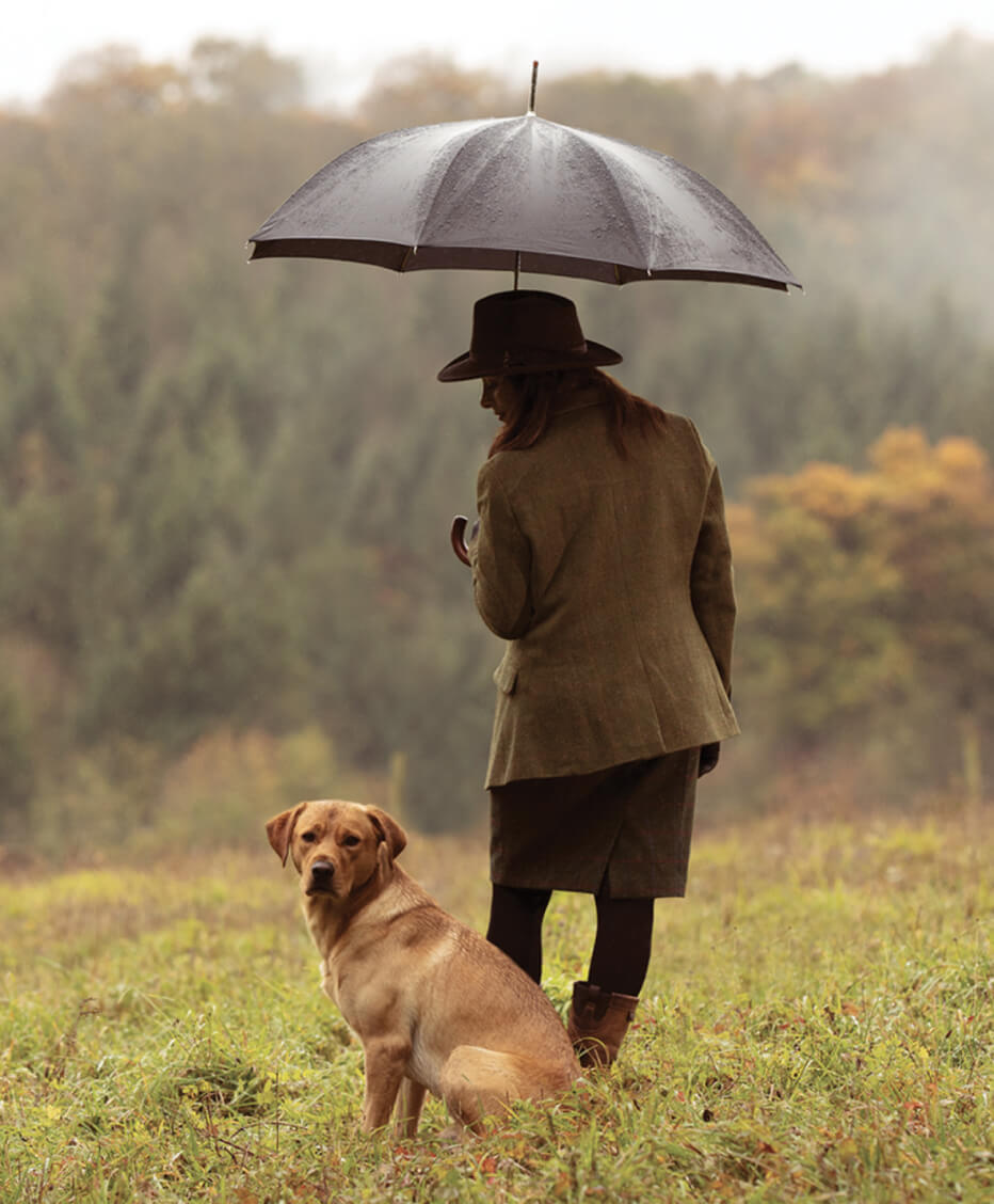 dog image