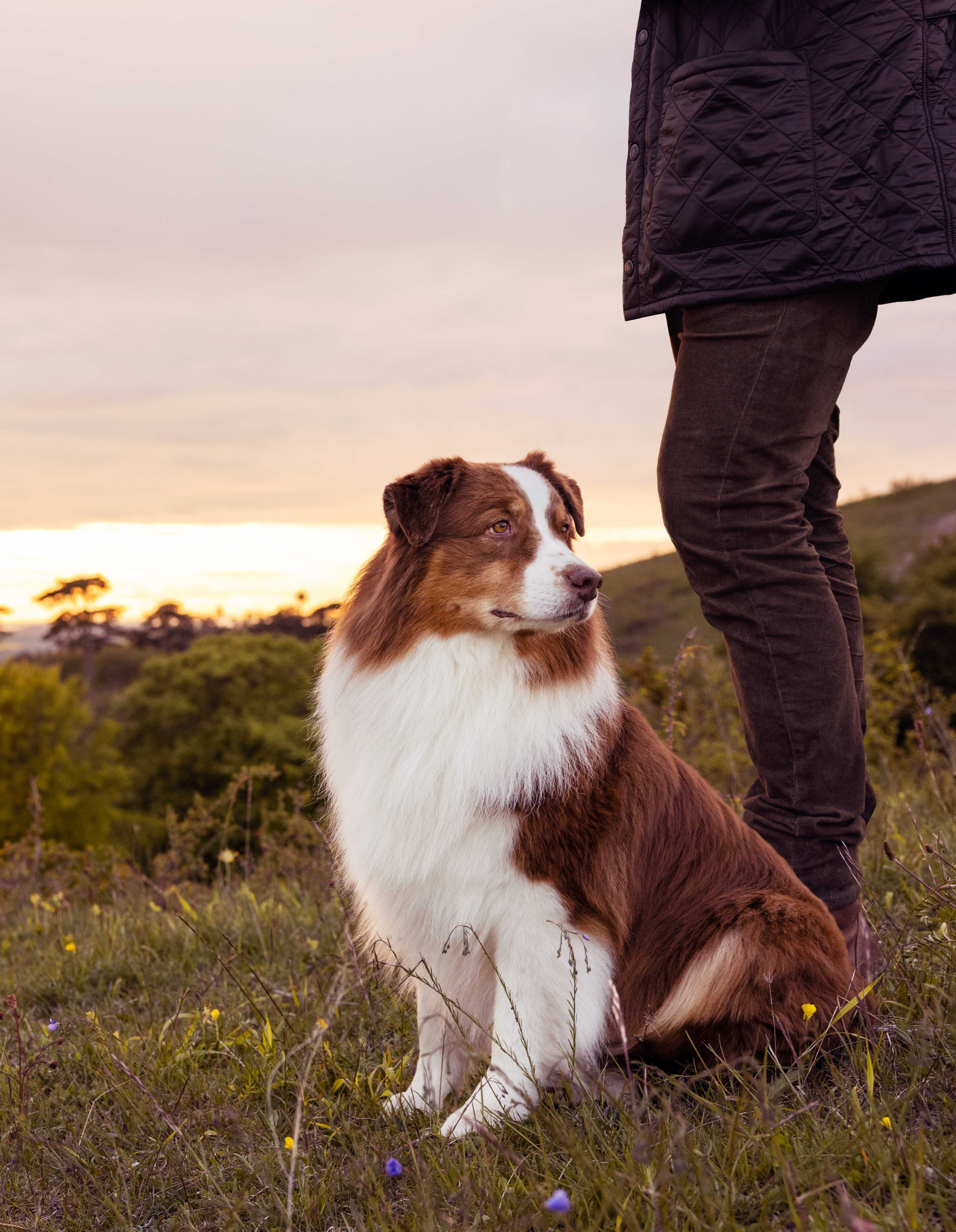 Man standing with dog